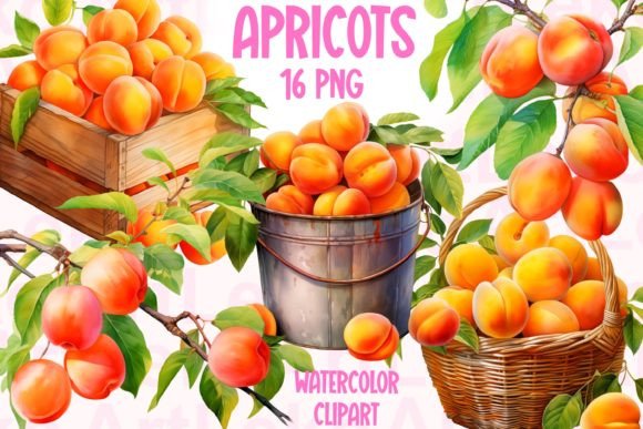 Apricots Watercolor Clipart: A Playful Touch for Brands