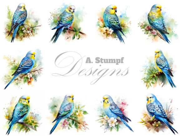 Budgerigar Watercolor Bird Clipart Set for Designers and Creatives