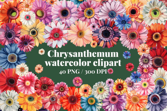 Chrysanthemum Watercolor Clipart Set for Creative Projects