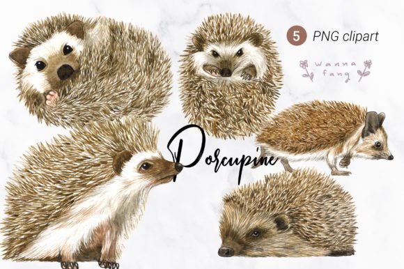 Porcupine Watercolor Animal Clipart: Hand-Painted Charm for Design Projects