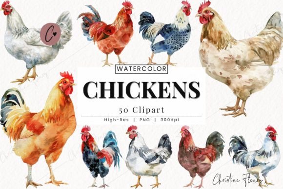 Watercolor Chicken Clipart Farmhouse PNG: A Designer's Guide