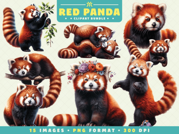 Watercolor Red Panda Clipart Guide