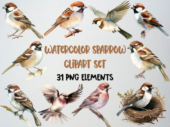 Watercolor Sparrow Clipart Set, 31 PNG