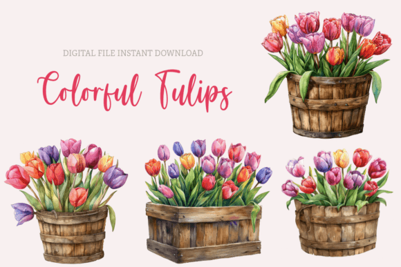 Watercolor Tulips Clipart for Spring Projects